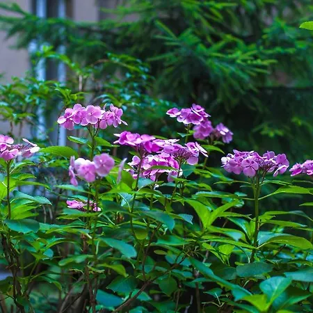 Hotel Elegia Am Kurfuerstendamm