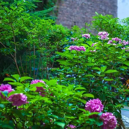 Elegia Am Kurfürstendamm Berlín