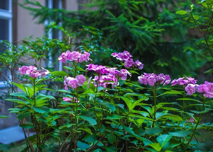 מלון Elegia Am Kurfuerstendamm