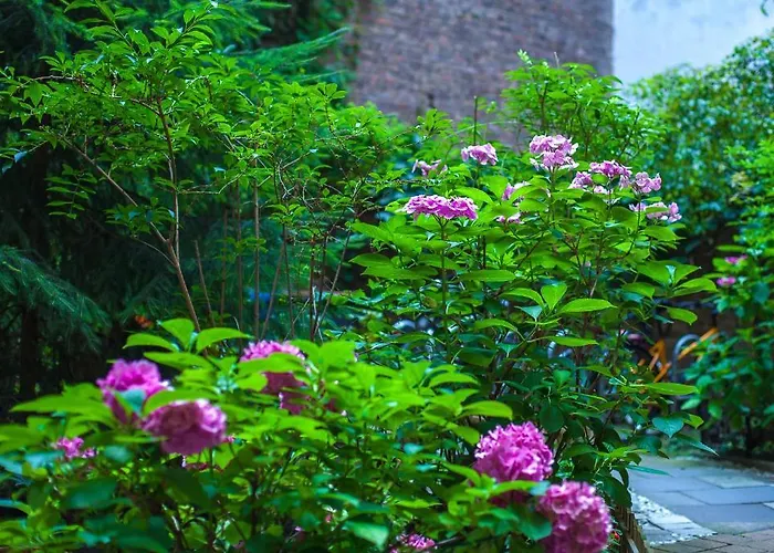 Elegia Am Kurfürstendamm Berlin