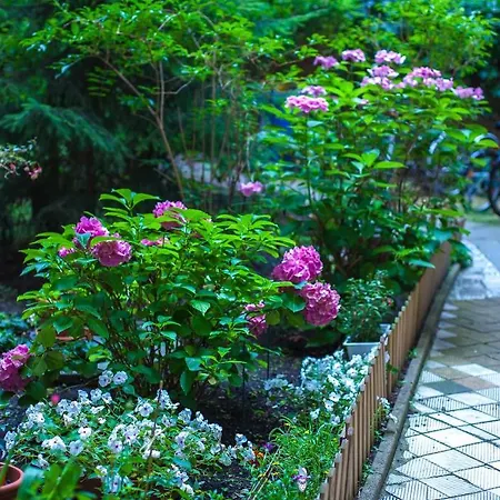 Hotel Elegia Am Kurfürstendamm Berlin